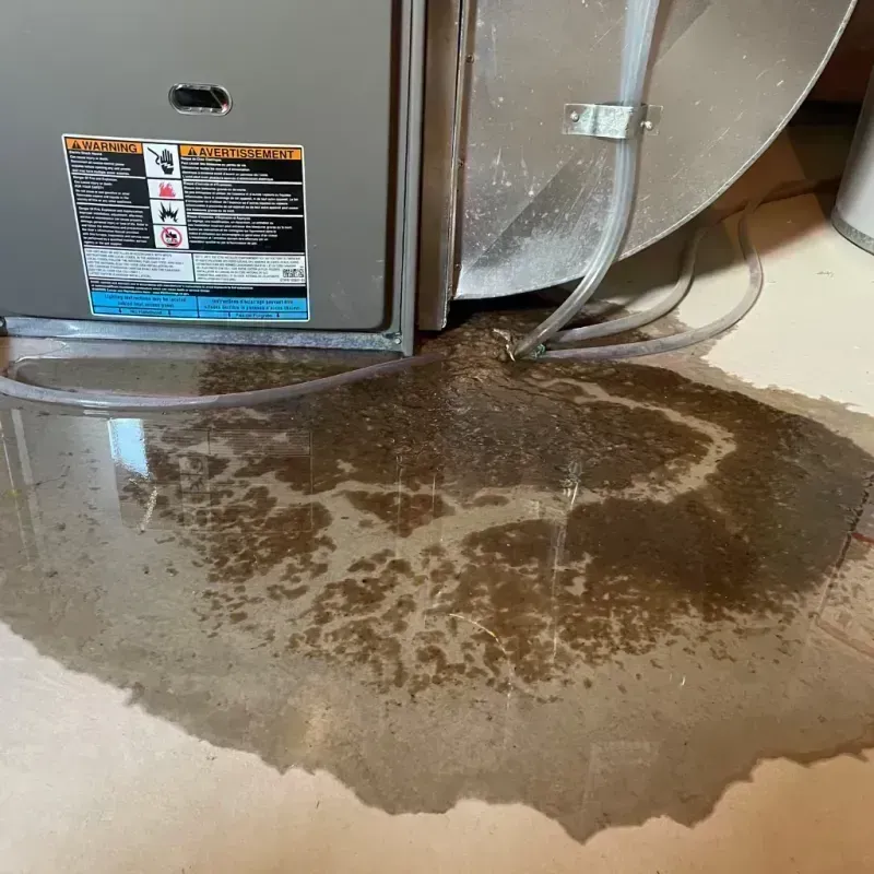 Appliance Leak Cleanup in Riverside, IL